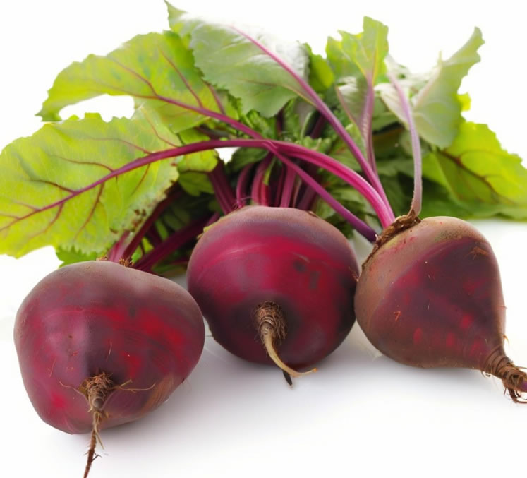 Sugar beet