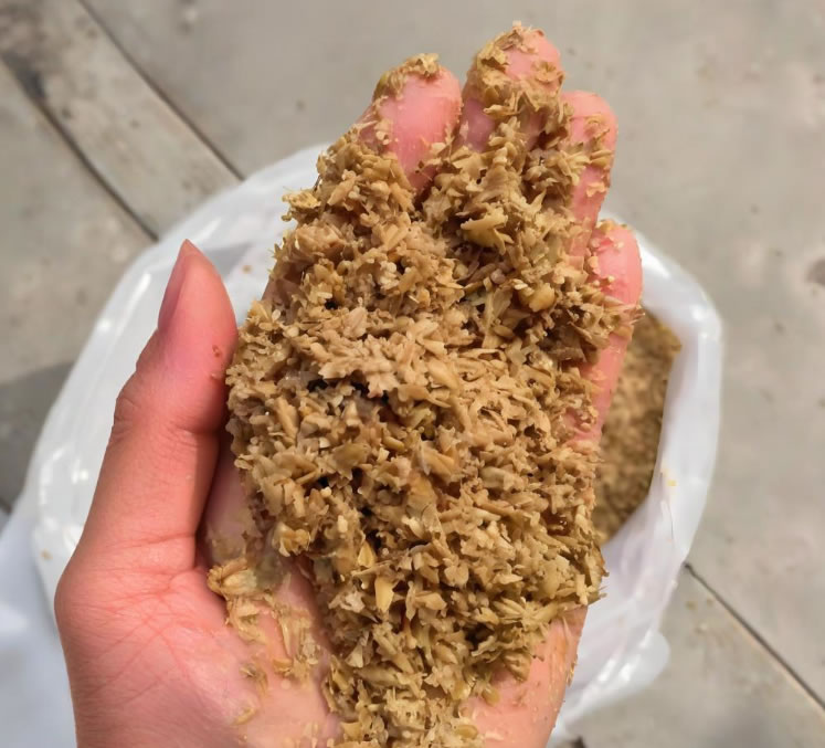 Brewer's Spent Grain (BSG)