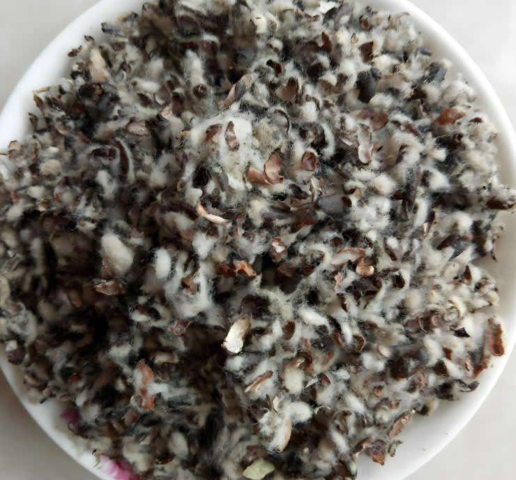 Screw Press in Cotton Seed Hull Papermaking Pulping