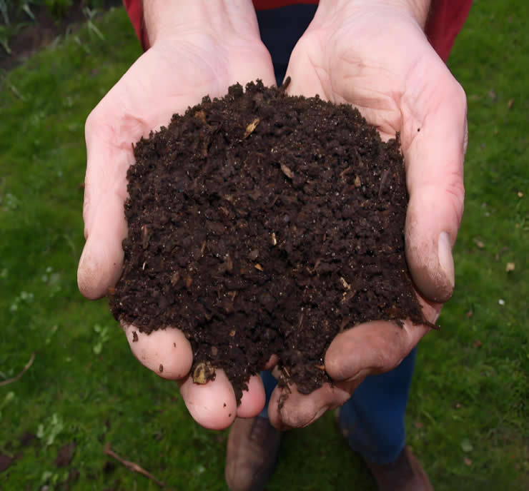 Solid-liquid separation for organic fertilizer