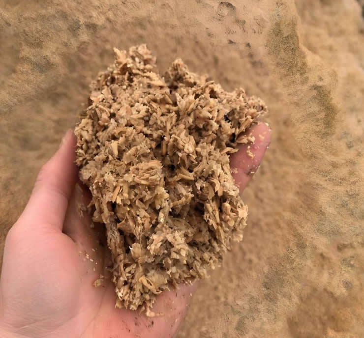 Solid-liquid separation for brewer's grains
