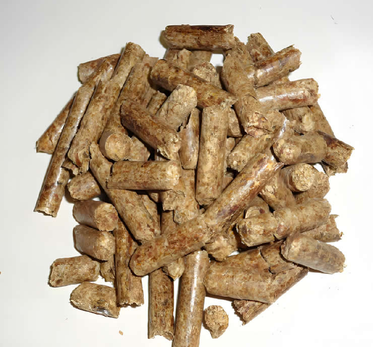 Top 8 Reasons to Use a Screw Press for Biomass Processing